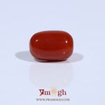 Red Coral - 4.66 Carat