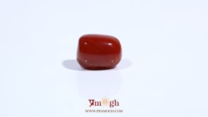 Red Coral - 5.13 Carat