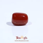 Red Coral - 5.13 Carat