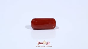 Red Coral - 4.58 Carat