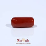 Red Coral - 4.58 Carat