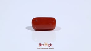 Red Coral - 5.68 Carat