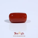 Red Coral - 5.68 Carat