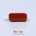 Red Coral - 4.8 Carat