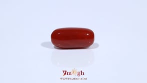Red Coral - 4.59 Carat