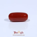 Red Coral - 4.59 Carat