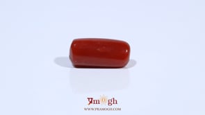 Red Coral - 5.14 Carat