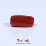 Red Coral - 5.14 Carat