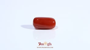 Red Coral - 4.5 Carat