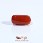 Red Coral - 4.5 Carat