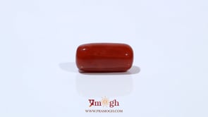 Red Coral - 4.73 Carat