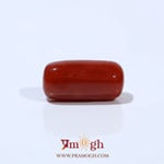 Red Coral - 4.73 Carat