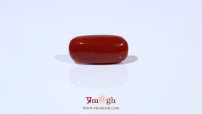 Red Coral - 6.54 Carat