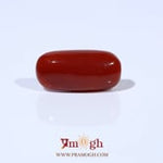 Red Coral - 6.54 Carat