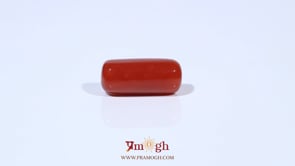 Red Coral - 6.3 Carat