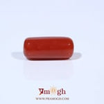 Red Coral - 6.3 Carat