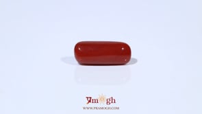 Red Coral - 6.04 Carat