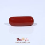 Red Coral - 6.42 Carat