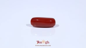 Red Coral - 6.74 Carat