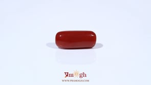 Red Coral - 6.39 Carat