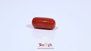 Red Coral - 6.11 Carat