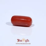 Red Coral - 6.11 Carat