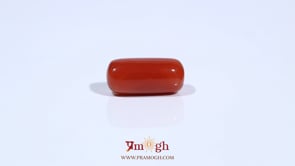 Red Coral - 6.3 Carat