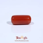 Red Coral - 6.3 Carat
