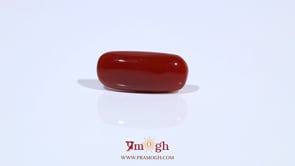 Red Coral - 6.04 Carat