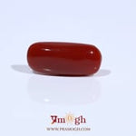 Red Coral - 6.04 Carat
