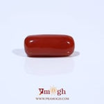 Red Coral - 6 Carat