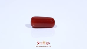 Red Coral - 6.04 Carat