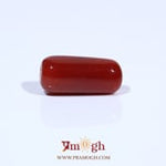 Red Coral - 6.04 Carat