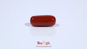 Red Coral - 7.9 Carat