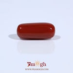 Red Coral - 7.9 Carat
