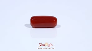 Red Coral - 7.58 Carat