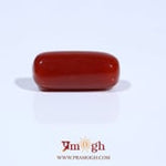 Red Coral - 7.58 Carat