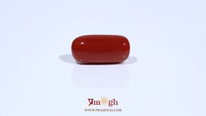 Red Coral - 7.63 Carat