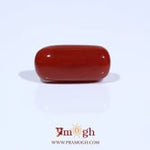 Red Coral - 7.63 Carat
