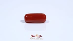 Red Coral - 7.77 Carat