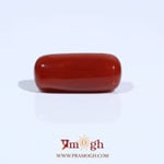 Red Coral - 7.77 Carat