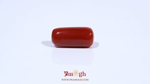 Red Coral - 7.63 Carat