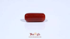 Red Coral - 7.7 Carat