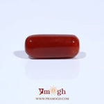 Red Coral - 7.7 Carat