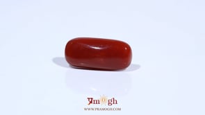 Red Coral - 7.55 Carat