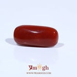 Red Coral - 7.55 Carat