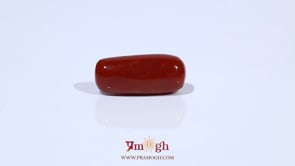 Red Coral - 7.4 Carat