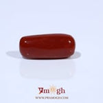Red Coral - 7.4 Carat