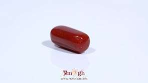Red Coral - 7.91 Carat