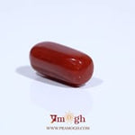 Red Coral - 7.91 Carat